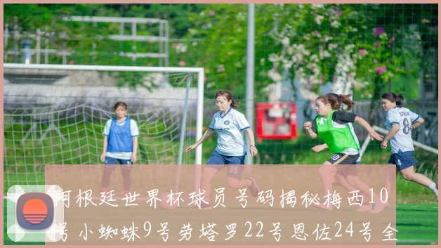 阿根廷世界杯球员号码揭秘梅西10号小蜘蛛9号劳塔罗22号恩佐24号全解析